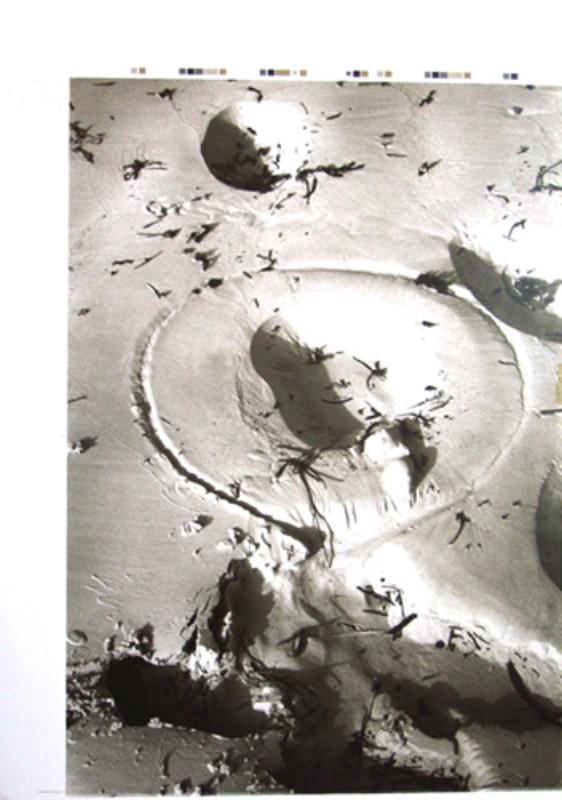 Joseph Beuys: Sandzeichnung (4)