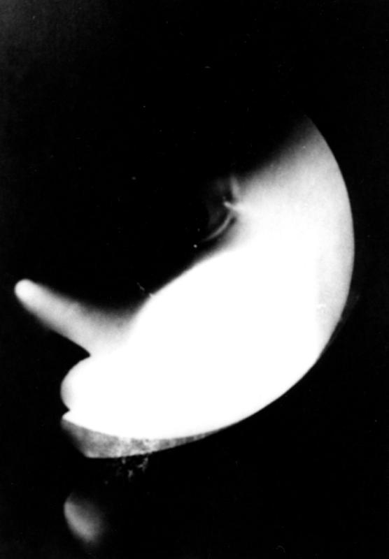 Laszlo Moholy-Nagy: Fotogramm (Face III)