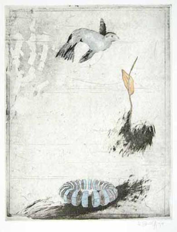 Donald Saff:  Bird, Flower, Ring