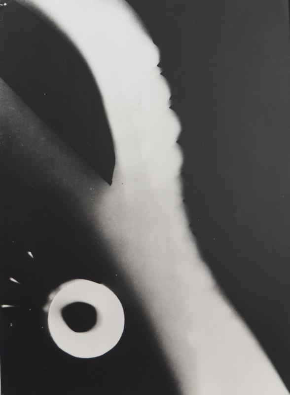 Laszlo Moholy-Nagy: Fotogramm fgm 286