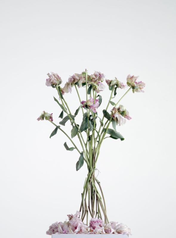 Carl Victor Dahmen: o.T. - (Flower 4)
