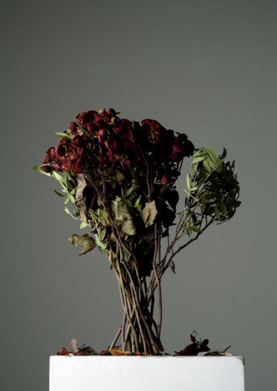 Carl Victor Dahmen: o.T. - (Flower 2)